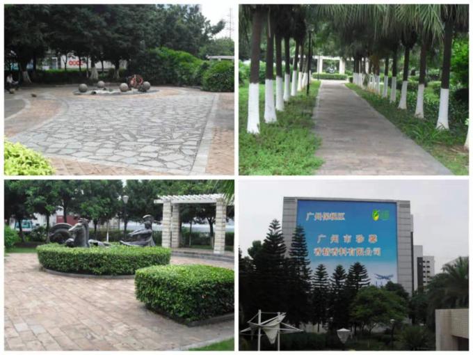 Fragranze per candele profumate di lavanda Olio profumato per candele altamente concentrato Violeta 8