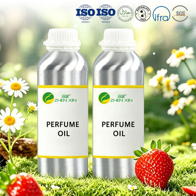 Dubai Arabe Luxury Perfume Oil Long Lasting Perfume Fragrances Wholesale